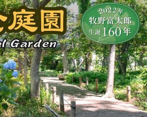 14E01B53-3A3D-4304-BF9F-561CA434BE59